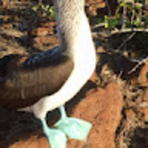 Meet your Posher, Donna